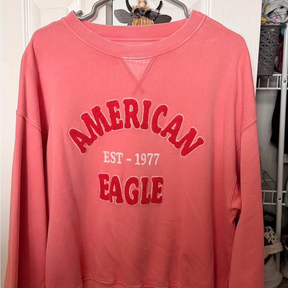 American Eagle Outfitters Coral Crew Neck Crewneck